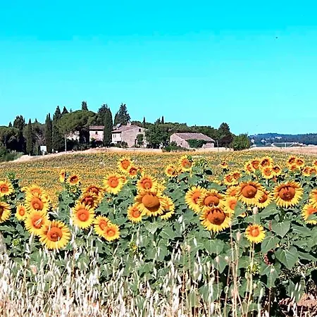 Il Poggio Bed & Breakfast 4*