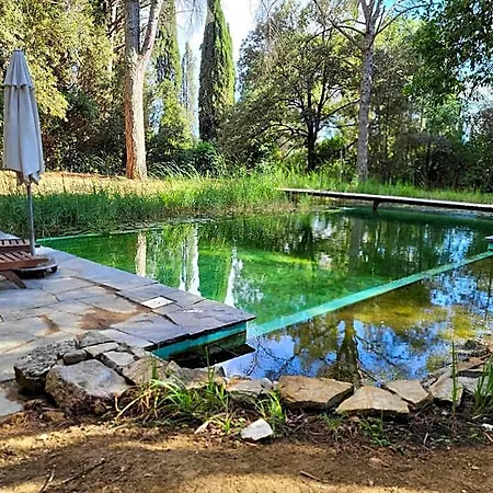 Il Poggio לינה וארוחת בוקר