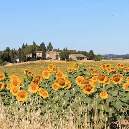 Il Poggio Bed & Breakfast Ginestra Fiorentina